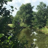 natuur
