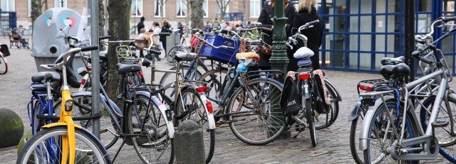 Fiesten incl OV Fiets